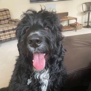 Meet your Posher, Wendy